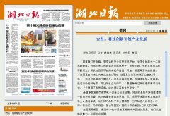 《湖北日報》首版報道我司起重安全監控系統