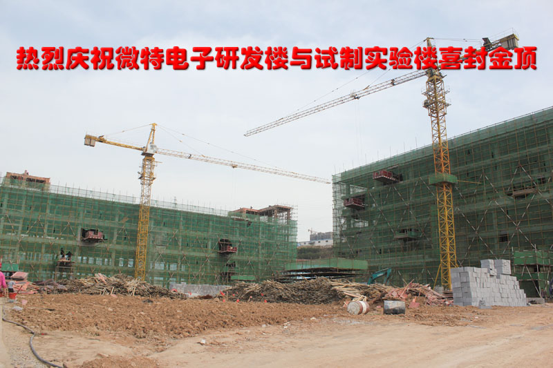 微特電子新研發中心喜封金頂